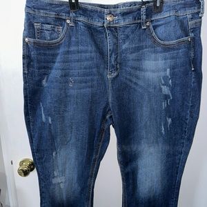 Plus size Seven for all mankind Melissa McCarthy jeans